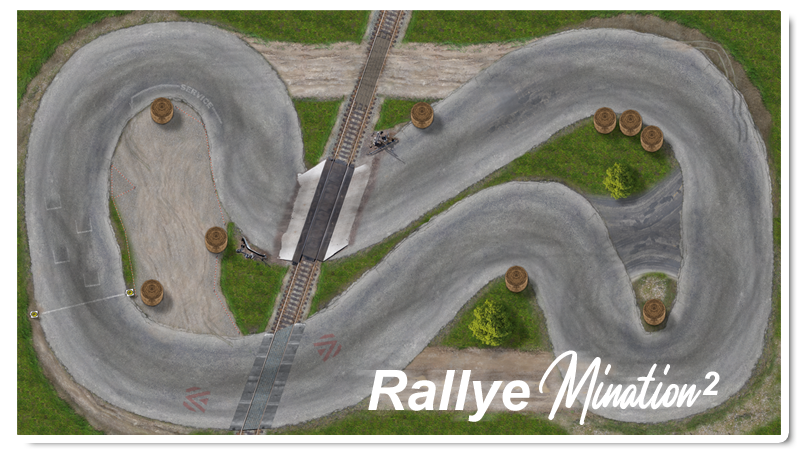 rallyemination