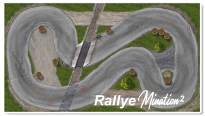 rallyemination